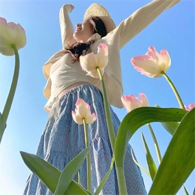 碧窗艳影